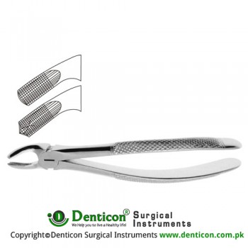 English Pattern Tooth Extracting Forcep Fig. 18 (For Upper Left Molars) Stainless Steel, Standard